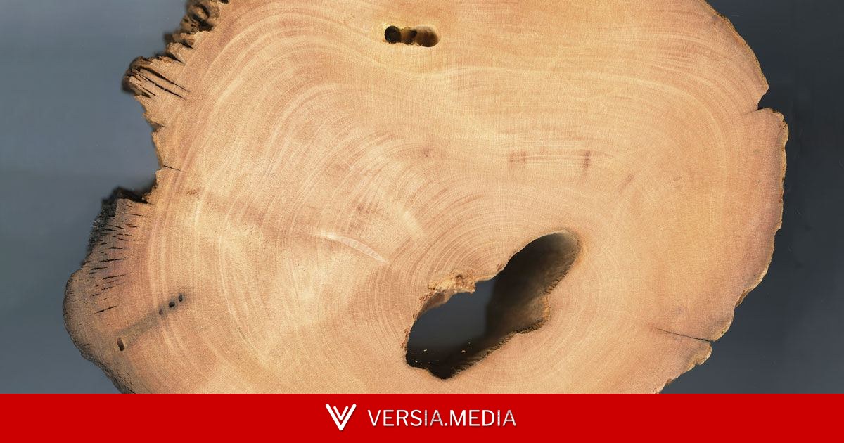 Norte de Minas já foi ainda mais seco