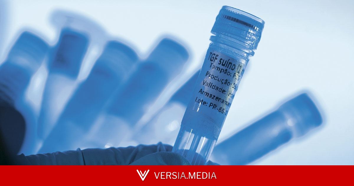 Reagentes aceleram produção de proteínas sintéticas