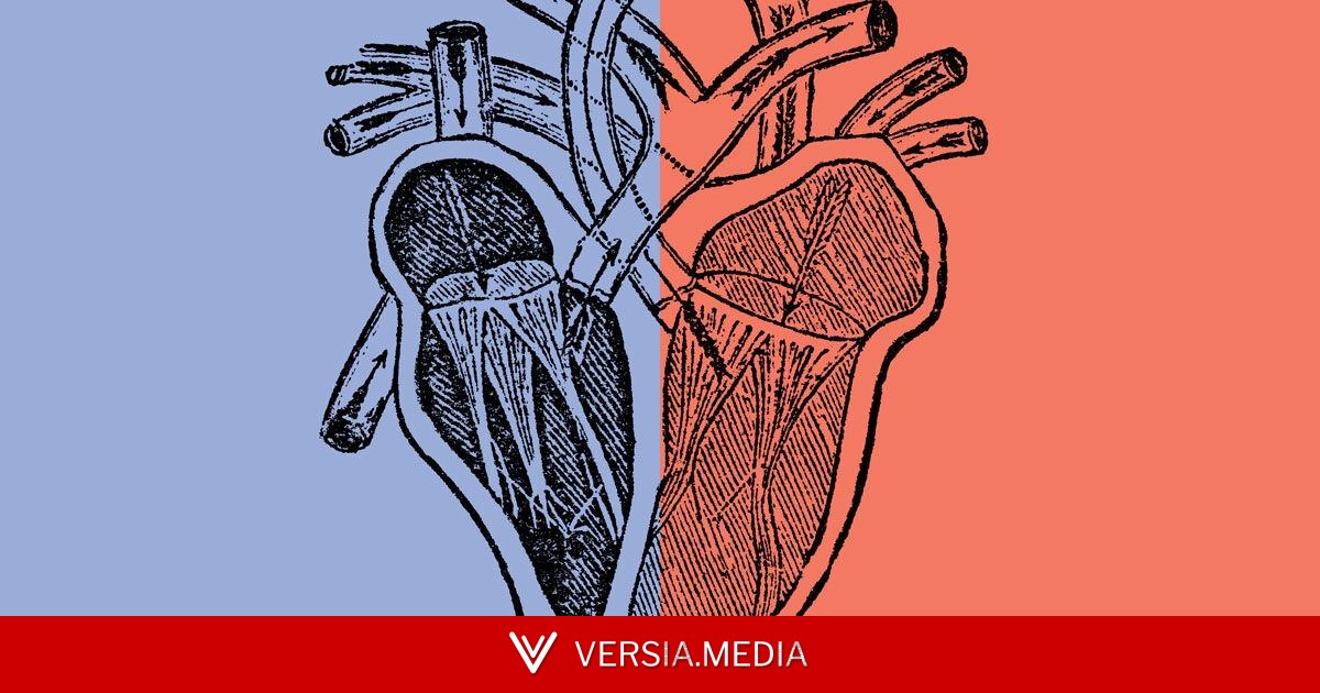 Neurônios ligados à expiração forçada também controlam a pressão arterial