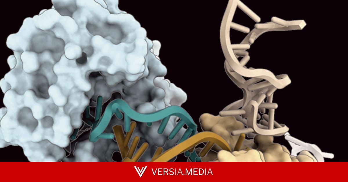 Outra forma de construir o DNA